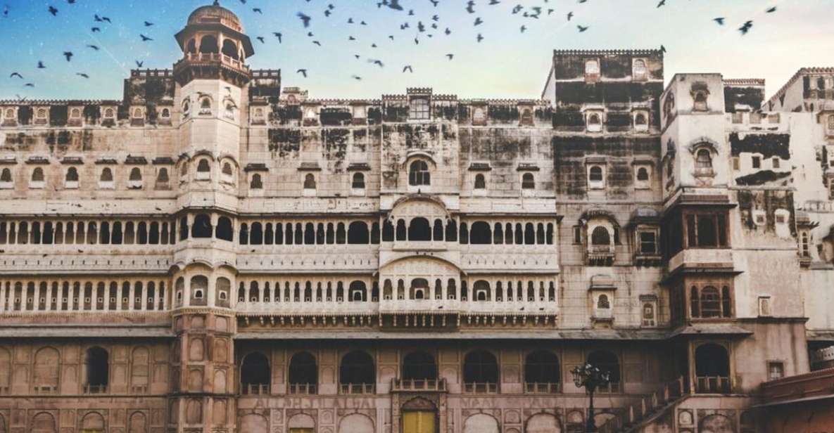 Bikaner Full Day Sightseeing with Junagarh Fort & Temples - What the Reviews Say