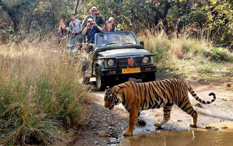 From Delhi: 6-Day Golden Triangle Tour with Ranthambore - Key Points