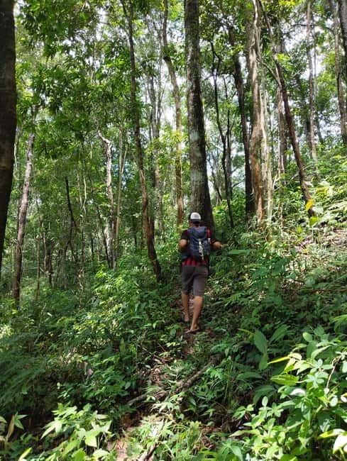 Chiang Mai Authentic Trekking - Final Words