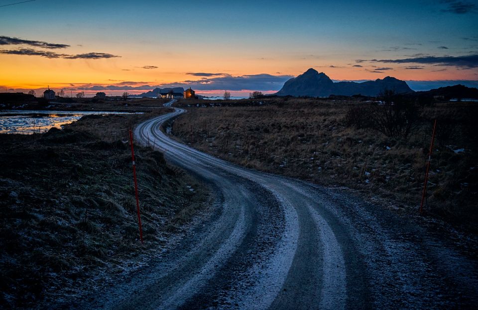 From Tromsø: Arctic Wildlife & Fjord Sightseeing Tour by Car - Wildlife Watching in the Arctic