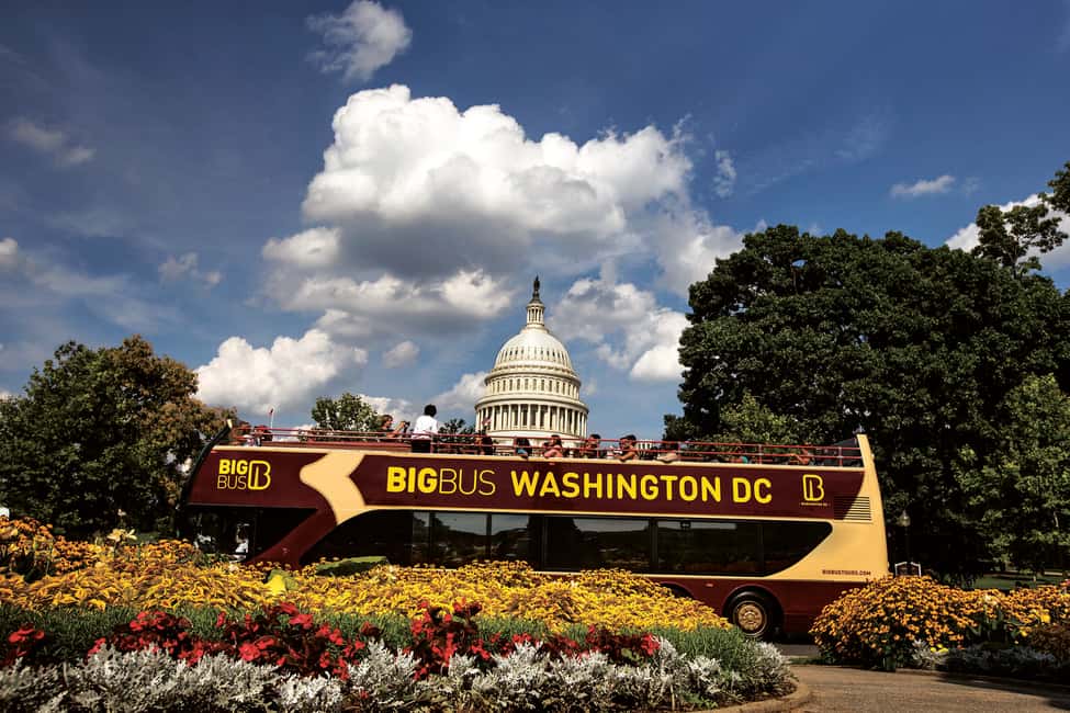 DC: Hop-on Hop-off, Arlington Walking Tour, and Night Tour - Good To Know