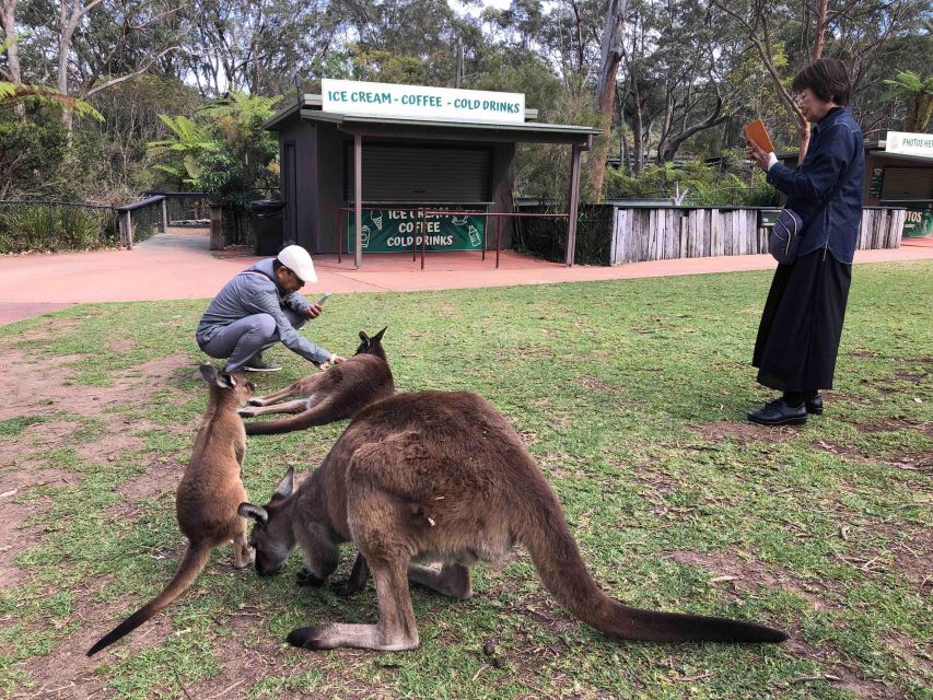 From Haymarket: Hunter Valley Wine and Wildlife Day Trip - From Haymarket: Hunter Valley Wine and Wildlife Day Trip