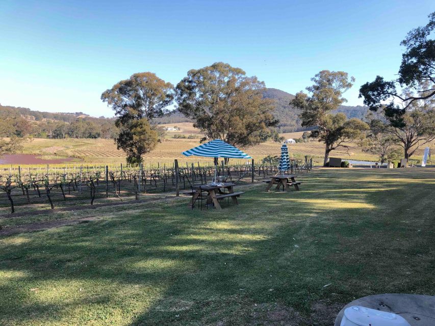 From Haymarket: Hunter Valley Wine and Wildlife Day Trip - Exploring the Hunter Valley Day Trip from Haymarket