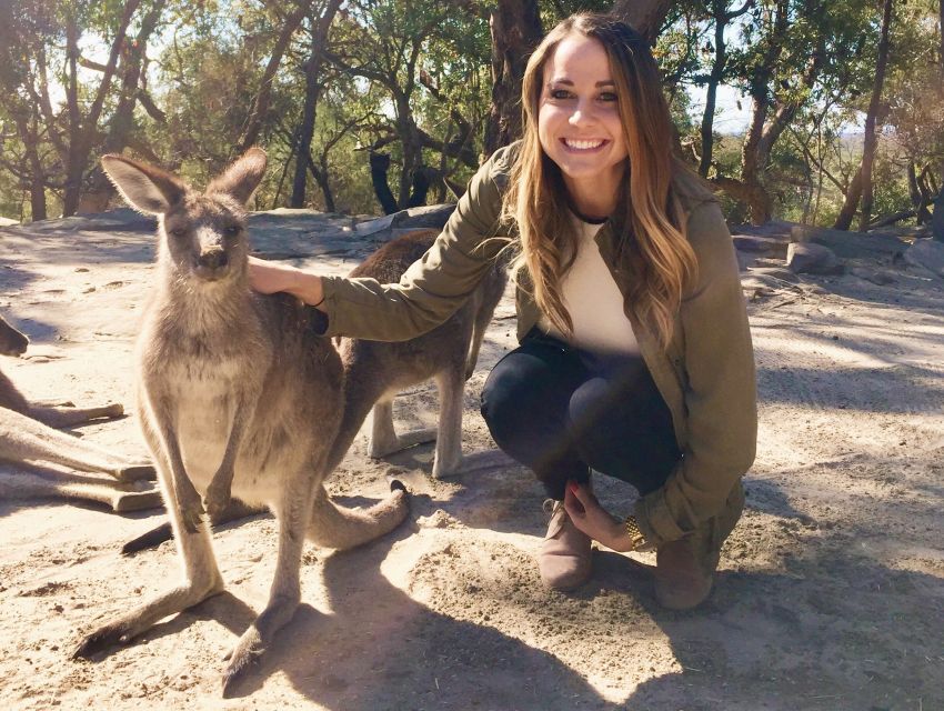 From Haymarket: Hunter Valley Wine and Wildlife Day Trip - What We Love About This Tour