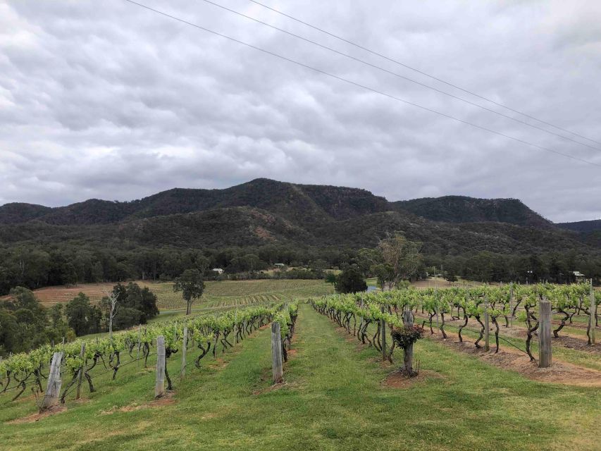 From Haymarket: Hunter Valley Wine and Wildlife Day Trip - Final Thoughts