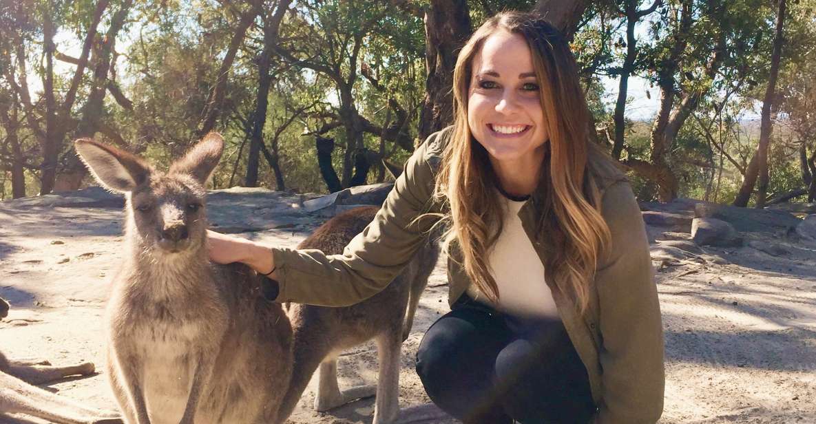 From Haymarket: Hunter Valley Wine and Wildlife Day Trip - Key Points