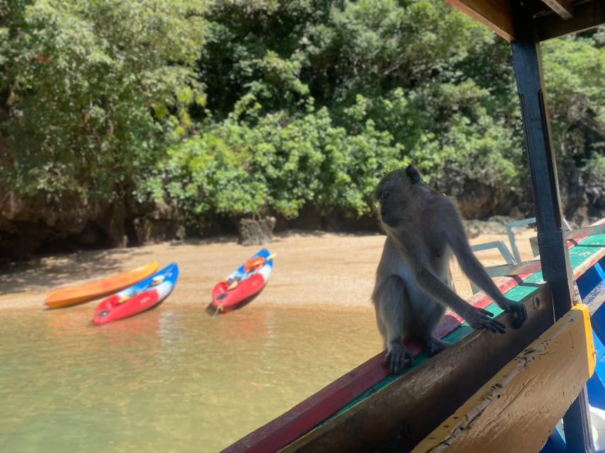Ko Lanta: Mangrove Kayaking, Ko Talabeng, & Skull Island - Why This Tour Offers Great Value