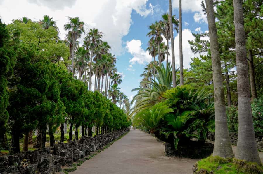 Jeju: Premium Small Group UNESCO Day Tour - West Coast - Good To Know