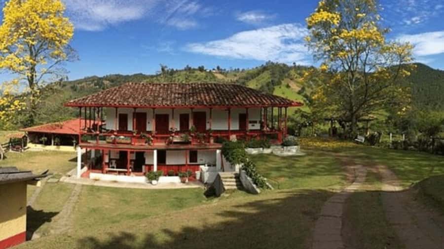 Private Tour to Coffee Farm (farm of your choice) - Experience the Best of Colombia’s Coffee Region: Private Coffee Farm Tour