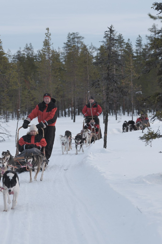 Levi: Husky Adventure Self-Drive Safari 15km - A Detailed Look at the Husky Self-Drive Safari