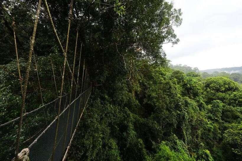 Kota Kinabalu: Private Kundasang and Poring Hot Spring Tour - Pricing and Value