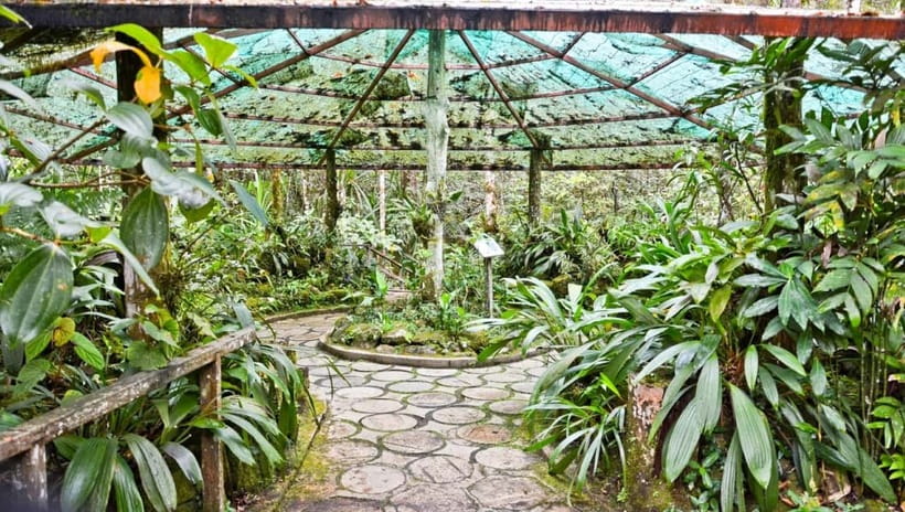 Kota Kinabalu: Private Kundasang and Poring Hot Spring Tour - Final Thoughts