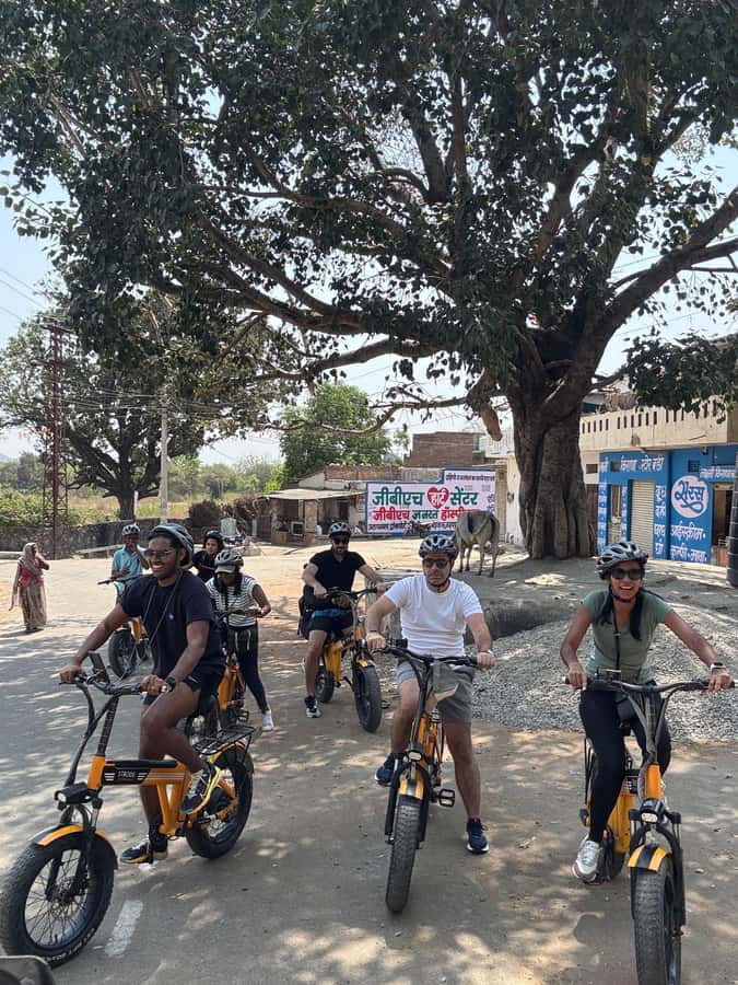 Udaipur: E-Cycling through lakes and villages - What Previous Travelers Say
