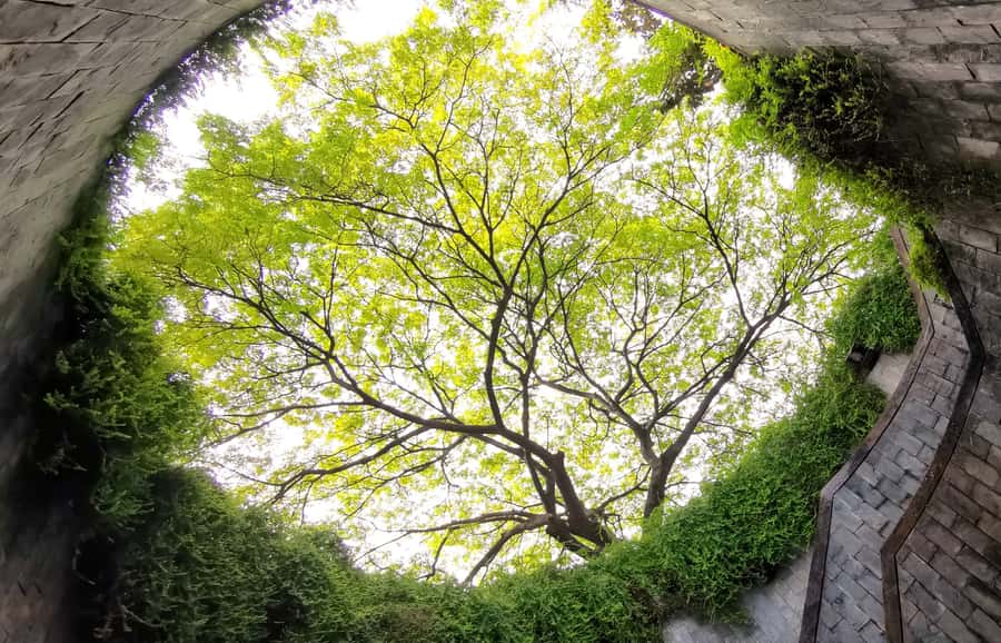 Singapore: Hidden Gems Kick Scooter Tour w/Dinner - What Makes This Tour a Great Value