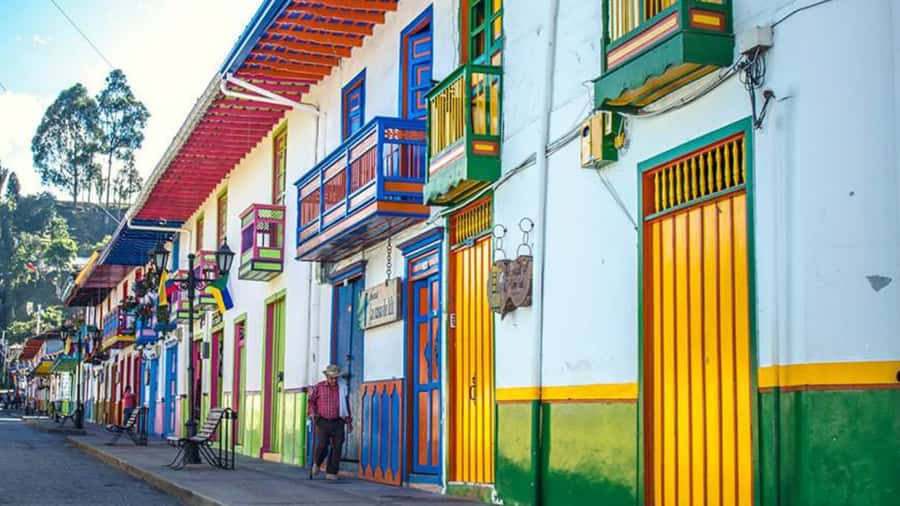 Tour to Salento and Cocora Valley from Pereira or Armenia - Why This Tour Works Well for Certain Travelers