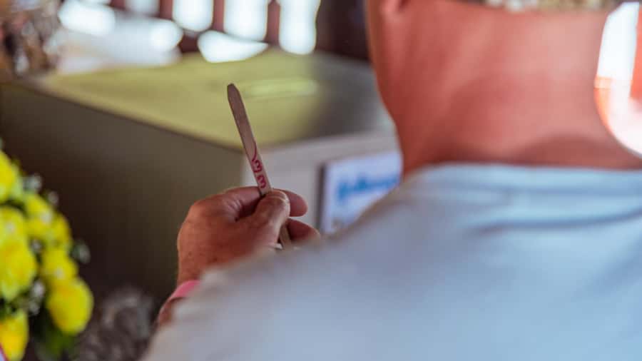 Khao Lak: Highlights with Temple, Turtles & Elephants Tours - Khao Lak: Highlights with Temple, Turtles & Elephants Tours