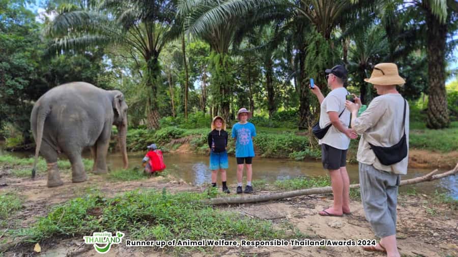 Khao Lak: Highlights with Temple, Turtles & Elephants Tours - A Closer Look at the Itinerary