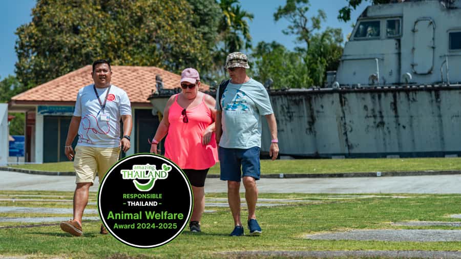 Khao Lak: Highlights with Temple, Turtles & Elephants Tours - Why This Tour Offers Great Value