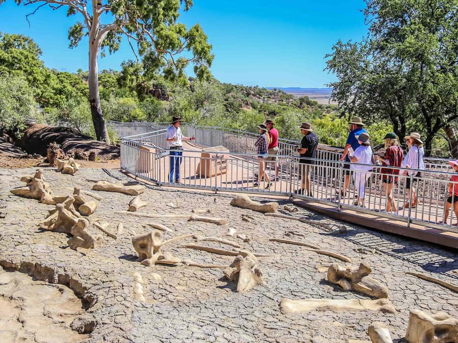 Winton: Age of Dinosaurs Museum Half Day Guided Transfer - An In-Depth Look at the Tour