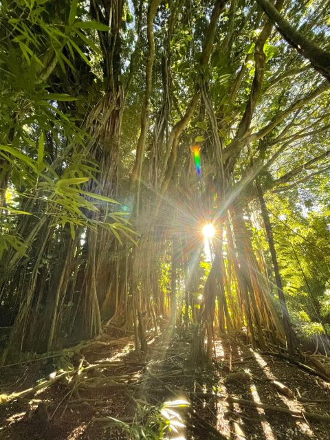 Oahu: Hidden Hawaii Waterfall Hike and Beach Tour - Exploring Hidden Gems and Local Tips