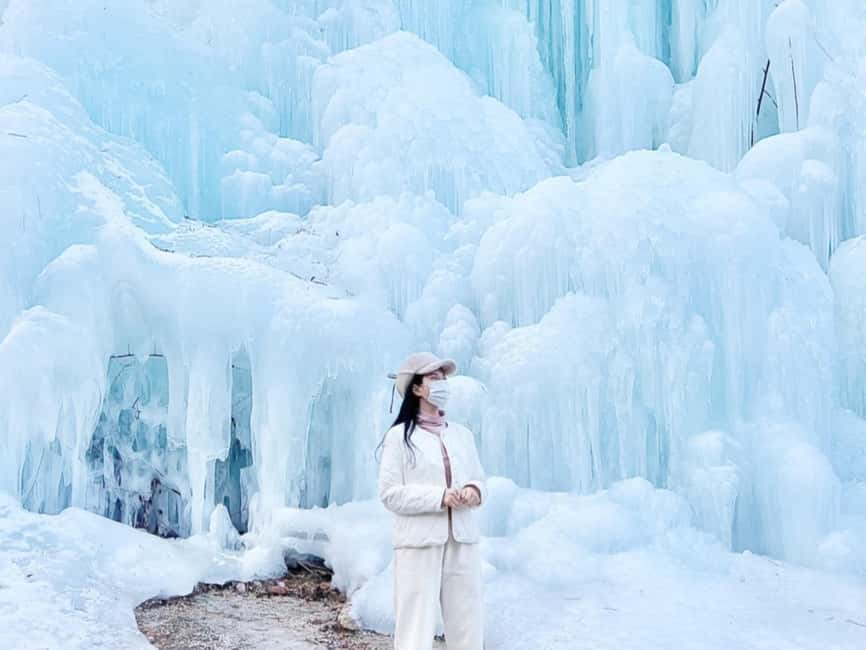 Seoul: Strawberry Picking, Winter Sled with Eobi Ice Valley - An In-Depth Look at the Itinerary