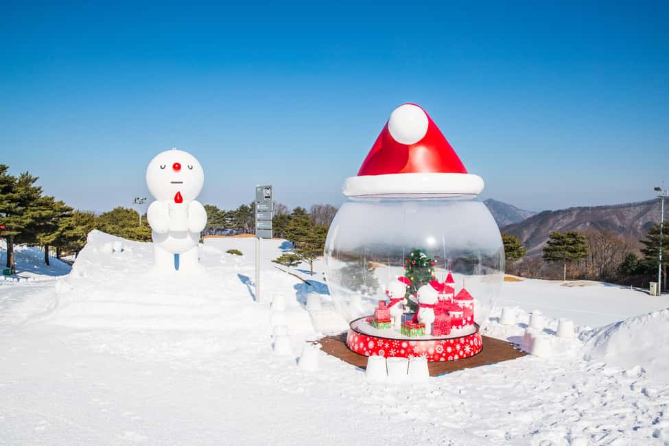 Seoul: Strawberry Picking, Winter Sled with Eobi Ice Valley - Practical Aspects and Tips