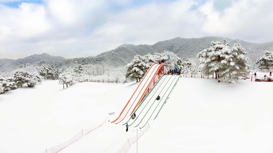 Seoul: Strawberry Picking, Winter Sled with Eobi Ice Valley - Key Points