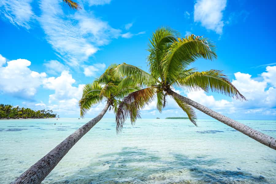 Tahiti Lagoon: 4-hour snorkeling to discover the secrets of the lagoon - Logistics and Practical Tips