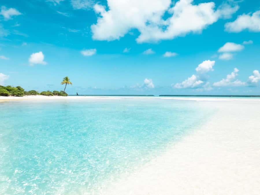 Tahiti Lagoon: 4-hour snorkeling to discover the secrets of the lagoon - What Sets This Tour Apart?