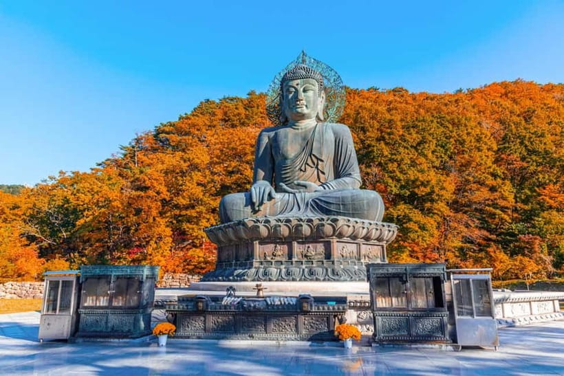 Seoul: Mt. Seoraksan National Park Autumn Foliage Day Tour - Who Should Consider This Tour?