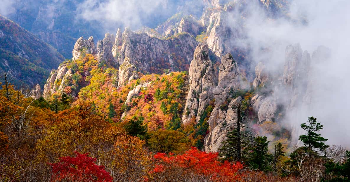 Seoul: Mt. Seoraksan National Park Autumn Foliage Day Tour - Final Thoughts