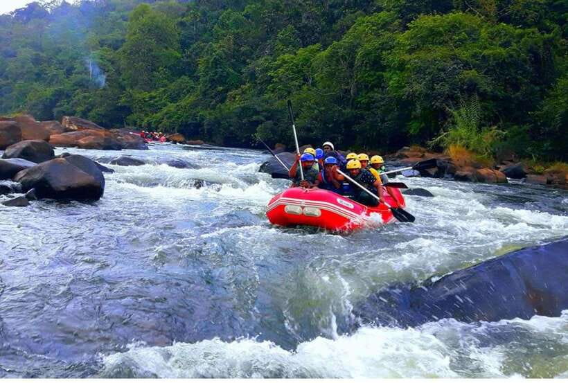 Colombo/ Negombo: Kithulgala White Water Rafting Adventure - An Overview of the Kithulgala White Water Rafting Adventure