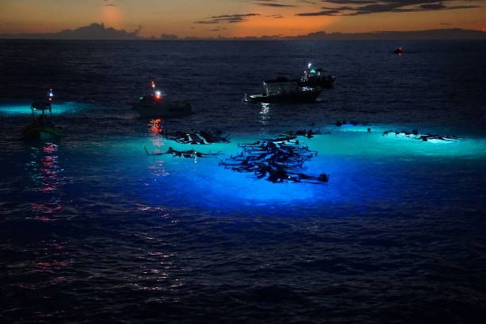 Kailua-Kona: Manta Ray Watching Nighttime Boat Trip - FAQ