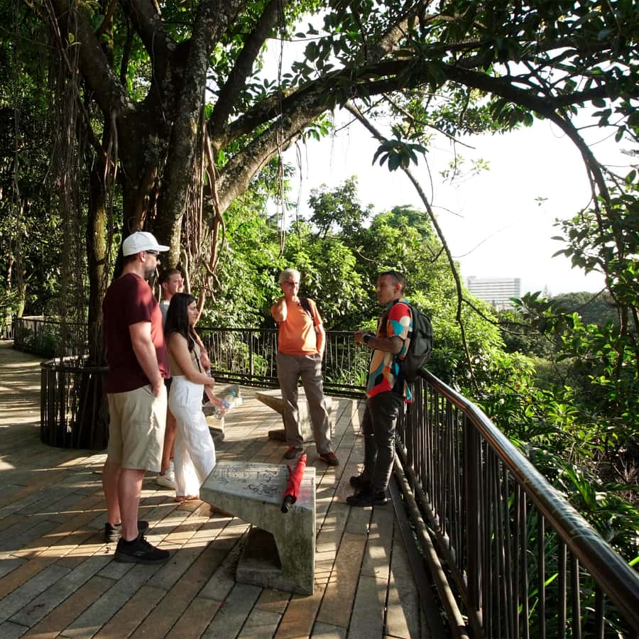 Medellin Tour Privado x3 horas con Transfers - The Sum Up: Who Should Consider This Tour?