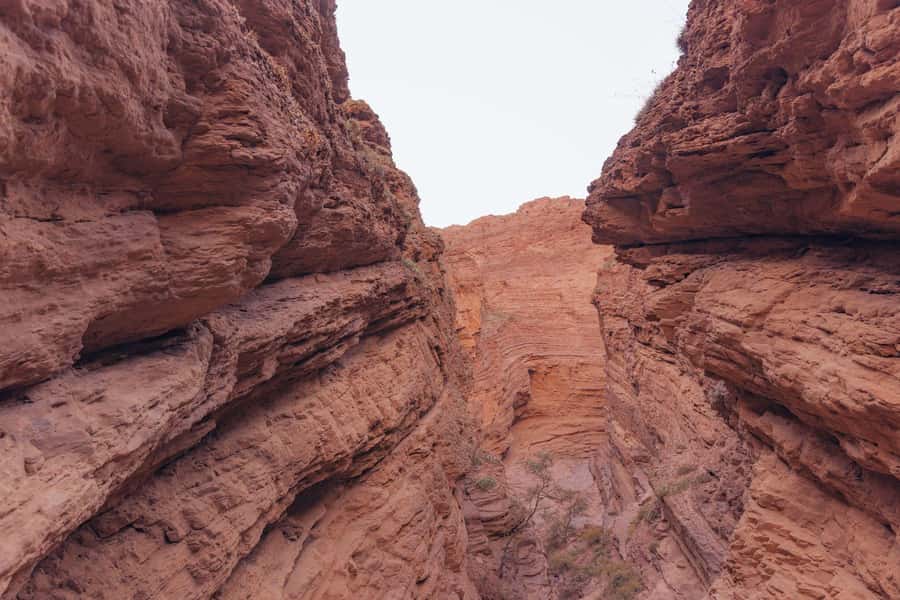 From Salta: Full-Day Wine and Valley Tour to Cafayate - The Sum Up