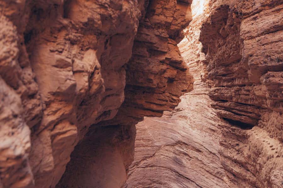 From Salta: Full-Day Wine and Valley Tour to Cafayate - FAQ