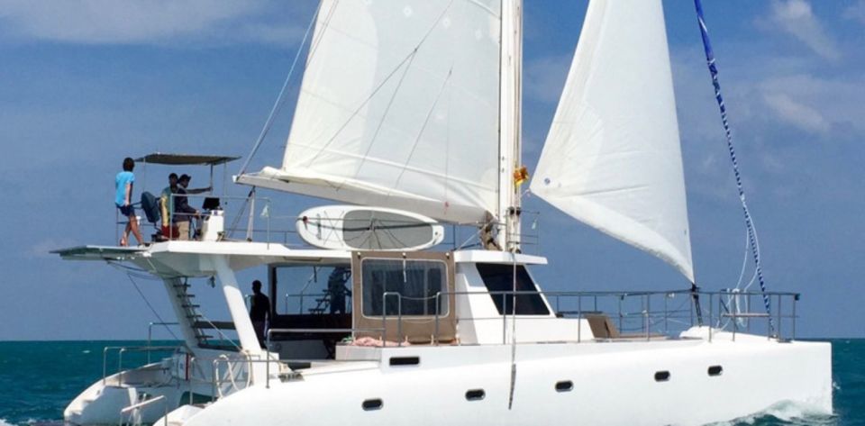 Exploring the Eastern Coast: A Week of Beaches and Reefs - What This Tour Means for You