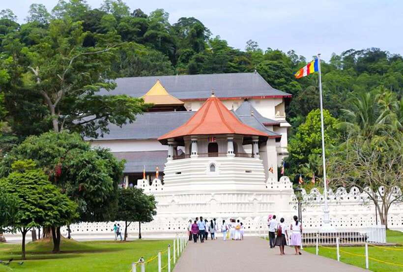 From Kandy: All Inclusive Full-Day Tour in Kandy - Private - Practical Tips for Your Tour