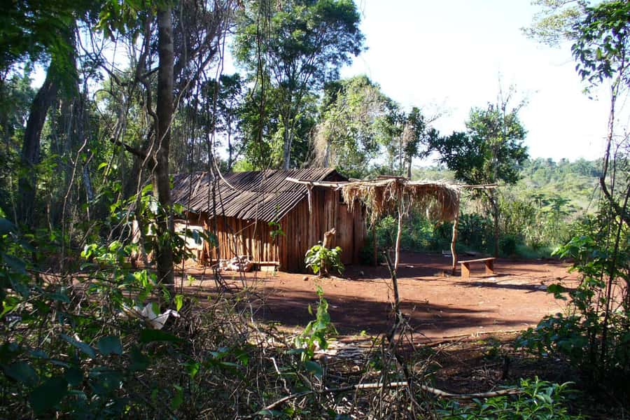 Visit Guarani village at Mborore Fort with brunch - Visiting the Guarani Village at Mborore Fort with Brunch