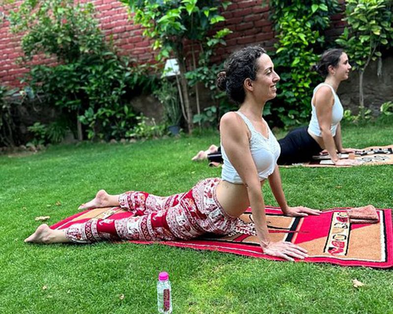 Delhi: Traditional Indian Yoga Experience - Who Should Book This Experience?