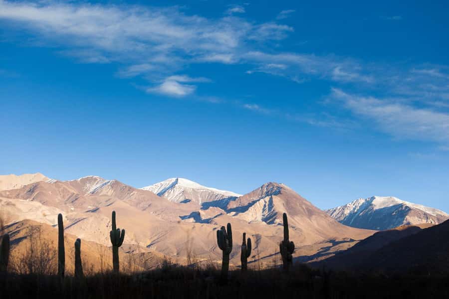 Salta: Calchaquí Valley Scenic Drive and Day Trip to Cachi - Who Will Enjoy This Tour?