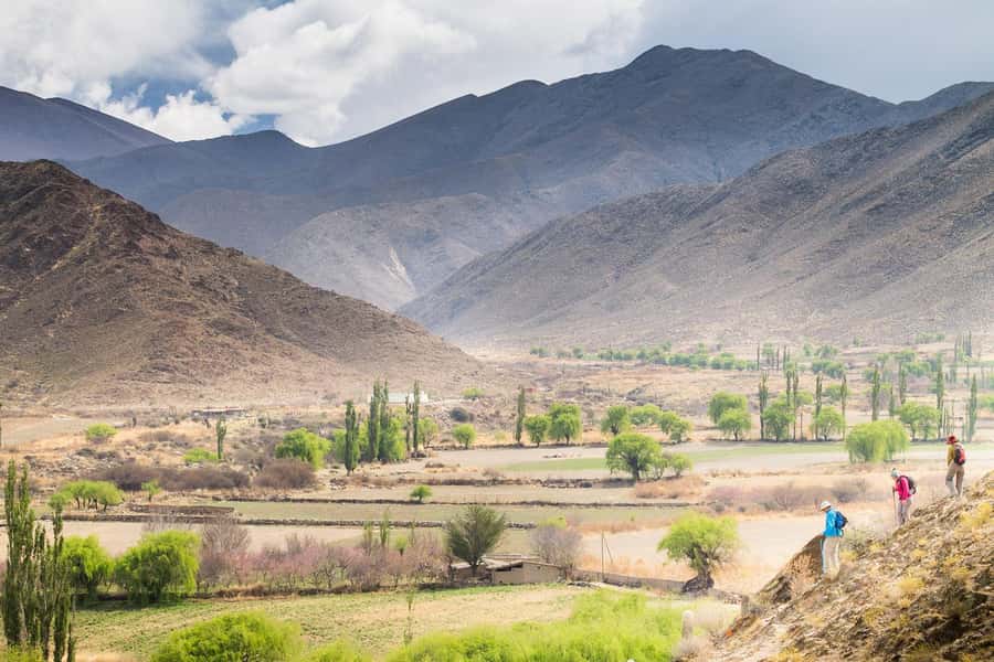 Salta: Calchaquí Valley Scenic Drive and Day Trip to Cachi - The Sum Up