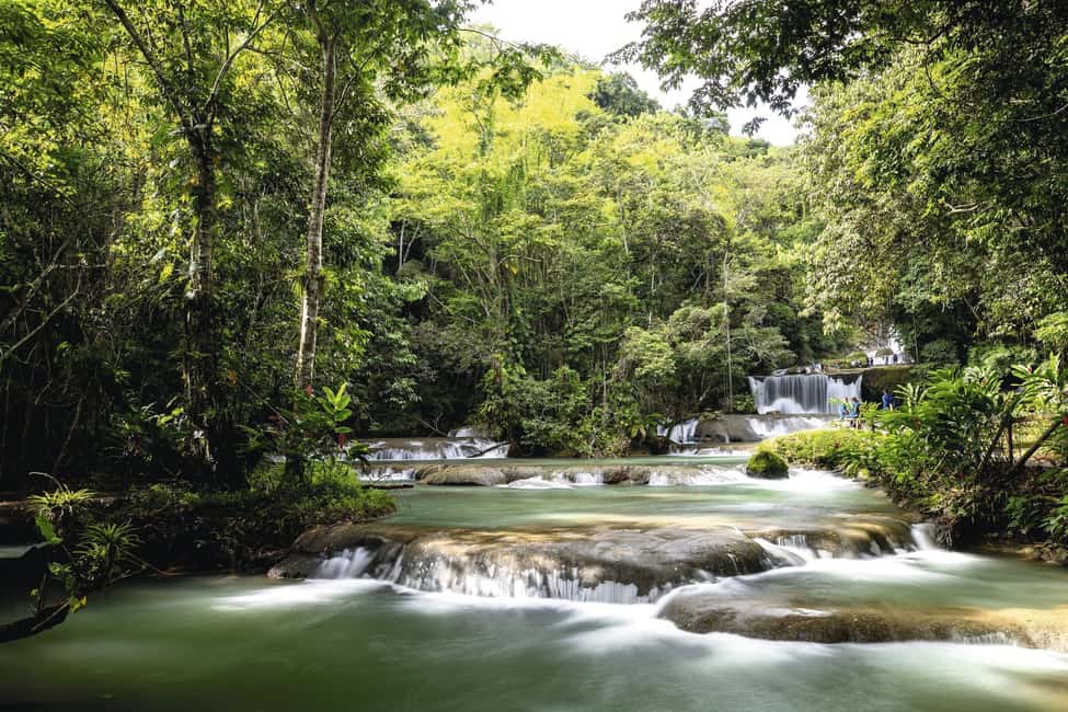 Shared or Private FD Appleton Rum, YS Falls & Pelican Bar - Key Points