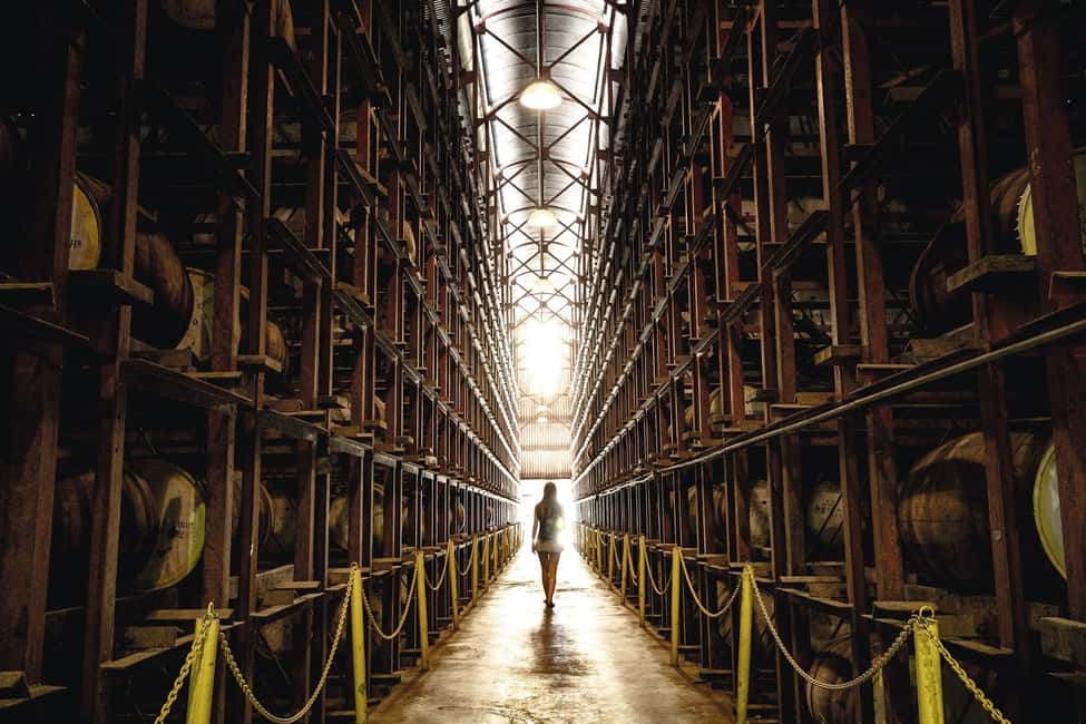 Shared or Private FD Appleton Rum, YS Falls & Pelican Bar - Who This Tour Suits