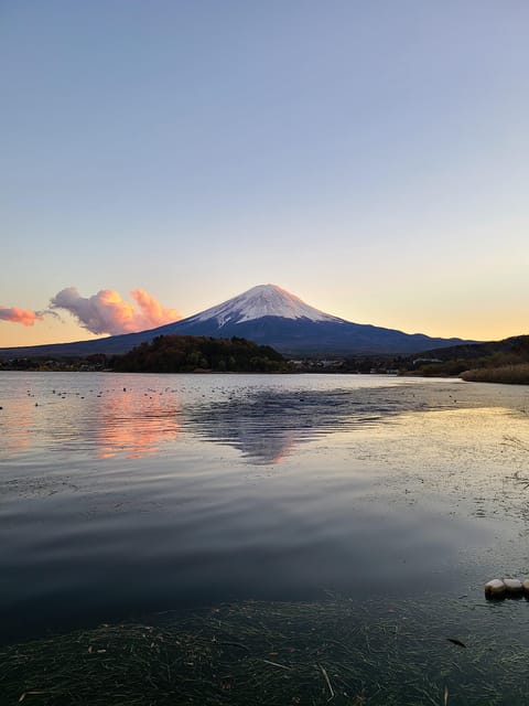 From Kawaguchiko: Mt. Fuji Private Tour with a Local Guide - A comprehensive look at the tour experience