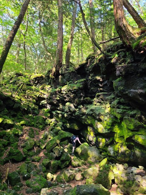 From Kawaguchiko: Mt. Fuji Private Tour with a Local Guide - Final thoughts