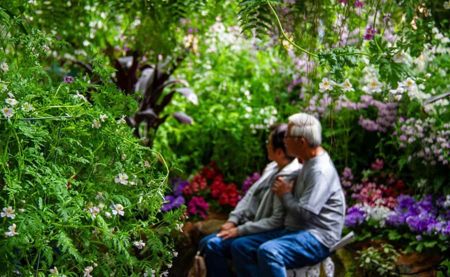 Melbourne Magic: City Highlights and Penguin Parade Tour - Final Thoughts