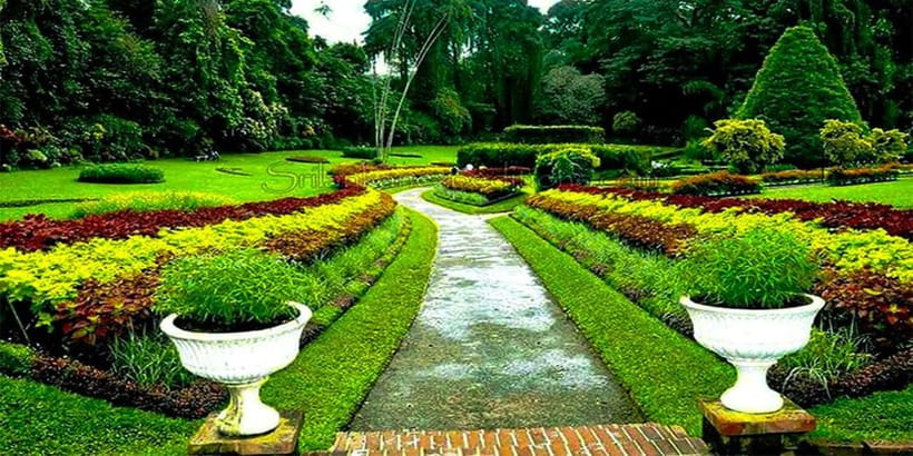 Explore Kandy & Nuwara Eliya in 2 days - An Overview of the Itinerary & Highlights