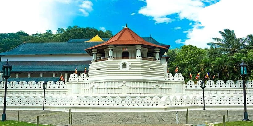 Explore Kandy & Nuwara Eliya in 2 days - What Travelers Love