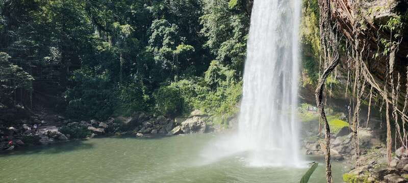 From Palenque: Misol-Ha & Agua Azul Waterfalls Day Tour - What’s Included and What’s Not